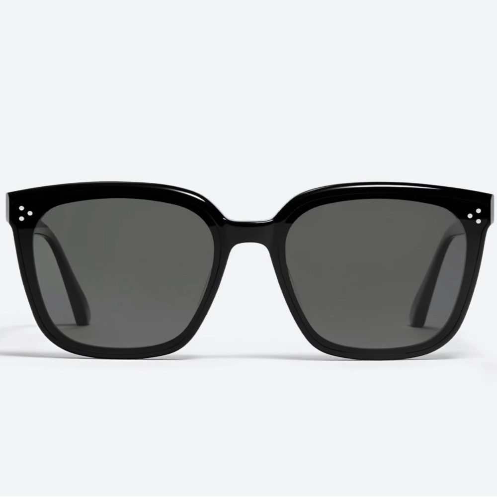 Gentle Monster Palette Classic Black Sunglasses